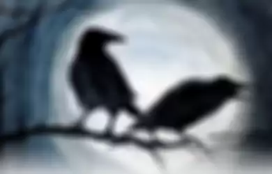 Ilustrasi Burung gagak. Mitos mendengar suara burung di malam hari