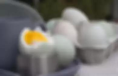 Telur bebek