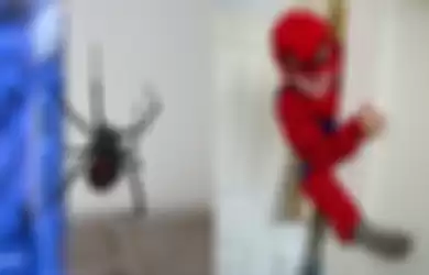 Terinspirasi dengan film Spider-Man, tiga bocah ini sengaja buat laba-laba black widow menggigit mereka.