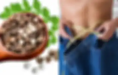 Manfaat Biji Kelor untuk Kesehatan Termasuk Turunkan Berat Badan