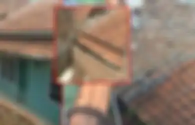 Dulu Sempat Viral Karena Rumahnya Dikepung Rumah Tetangga dengan Tembok, Kini Nasib Rumah Eko Purnomo Tidak Berubah, Malah Makin Menyedihkan