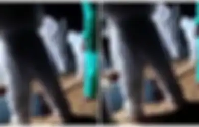 Viral Peti Jenazah Pasien PDP Covid-19 Jatuh dan Terbuka, Buat Proses Pemakaman Mendadak Mencekam dan Keluarga Langsung Histeris