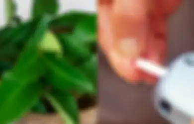 10 Manfaat Kesehatan Daun Salam, Baik untuk Penderita Diabetes