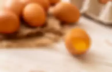 Ilustrasi telur mentah