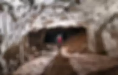 Penampakan isi dari lubang raksasa yang muncul di South Dakota, Amerika Serikat.