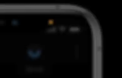 Indikator Kamera dan Microphone di iOS 14