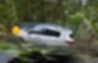 Cuma Dihalau Bodi Mobil di Pinggir Jalan, Sejoli Ini Keciduk Kamera Google Maps Mojok Bercinta di Semak-semak Hingga Fotonya Viral