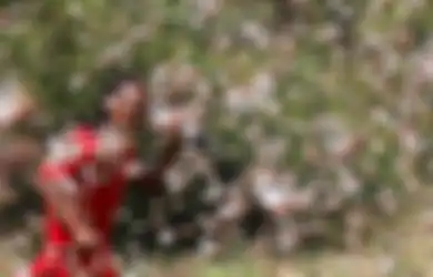 Covid-19 Belum Selesai, Triliunan Belalang Serbu Kenya, Ethiopia, Yaman, hingga India Utara, Helikopter Sampai Dikerahkan untuk Semprot Pestisida, Pengamat: 'Peringatan dari Alam'