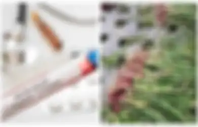 Memilukan, Terjebak Persyaratan Rapid Test sementara Ingin Pulang Kampung setelah 3 Bulan Tak Dapat Penghasilan, Pria Ini Nekat Curi 10 Karung Bawang