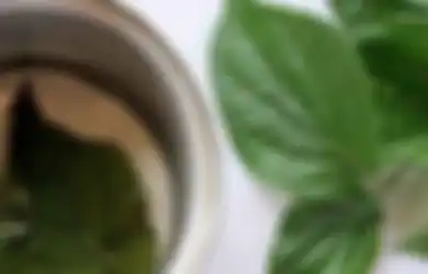 Coba Deh Mulai Sekarang, Biasakan Minum Air Rebusan Daun Sirih, Rasakan Perbedaannya pada Tubuh Anda, Bahkan Penyakit Mematikan Ini Enggan ‘Mampir’