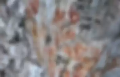 Gambar cadas di MIsool, Raja Ampat