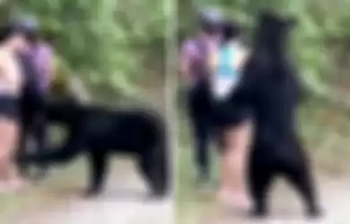 Momen ketika si beruang diajak selfie.