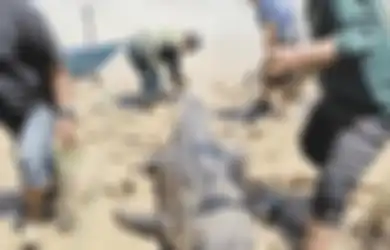 Dianggap Biang Keladi Hilangnya Warga Sekitar Secara Misterius, Warga Kaget Temukan Buaya Seberat 350 Kg Mengambang Mati, Saat Dibedah Isi Perutnya Bikin Jantungan