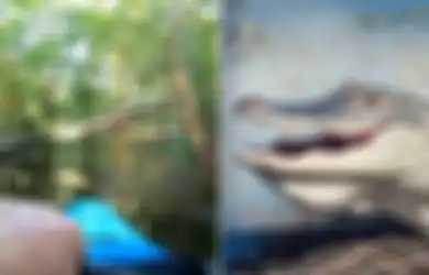 (Video) Mengejutkan, Pria Ini Sedang Susur Sungai Saat Reptil Purba Buas Menabraknya hingga Jatuh ke Air, Bagaimana Caranya Lolos dari Buaya Agresif di Musim Kawin