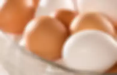 Jenis telur ayam yang bisa dibekukan 