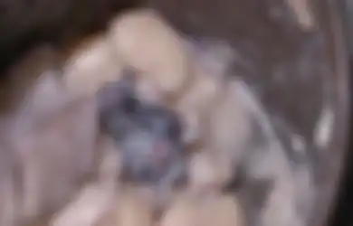 Dikira Bumbu Kaldu yang Menggumpal, Siapa Sangka Satu Keluarga Ini Buru-buru Tes Virus Corona Karena Ada Kejutan Menjijikkan di Sup yang Mereka Makan