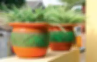Lili paris jenis tanaman pilihan penyerap polutan jenis formaldehida.