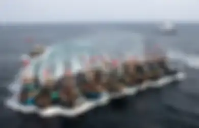 Lokasinya Padahal Sangat Jauh dari China, Negara di Benua Amerika Ini Syok Bukan Main Melihat 260 Armada Kapal Tiongkok Mendadak Nylonong di Wilayah Perairan Mereka