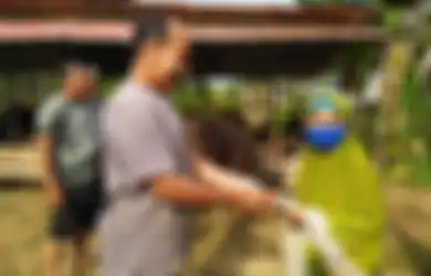 'Dunia Tidak Ada Apa-apanya, Nak,' Kisah Nenek Penyapu Jalan Kurban Sapi dan Kambing Hasil Menabung 15 Tahun