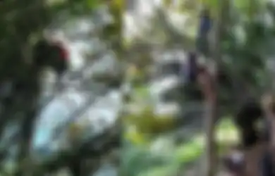 (Foto) Mengintip Perjuangan Para Siswa untuk Belajar Online, Terpaksa Panjat Pohon untuk Cari Signal hingga Jalan Kaki Sejauh 2 Km