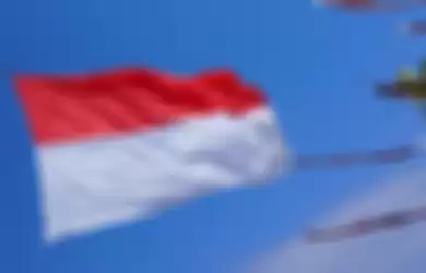 Posting Video Bakar Bendera Merah Putih, Cewek di Lampung Diamankan Polisi, Motivasinya Gila