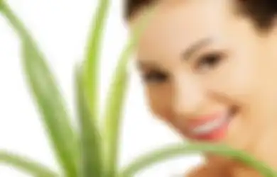 Oleskan Gel Lidah Buaya pada Bibir Selama 10 Menit, Inilah Hal Menakjubkan yang Akan Terjadi pada Bibir Anda!