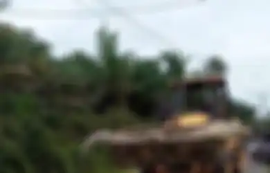 Usianya Capai 112 Tahun, Buaya Raksasa dengan Panjang Hampir 5 Meter Ini Sempat Mengamuk saat Dilumpuhkan hingga Diangkut Buldoser