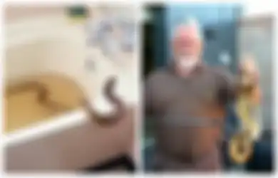 Ular Kobra Sepanjang 1,8 Meter Membuat Sang Istri Histeris di Kamar Mandi, Berawal dari Niat Baik Sang Suami: '32 tahun Pernikahan Bisa dalam Masalah!'