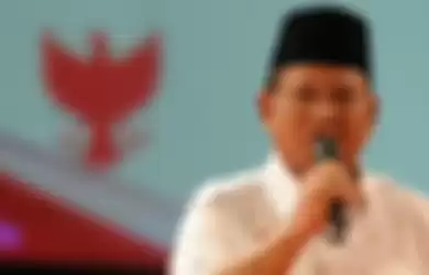 Prabowo Berhasil Duduki Kembali Ketua Umum Partai Gerindra dan Ketua Dewan Pembina, Calon Tunggal yang Dapat Dukungan Penuh 34 Provinsi