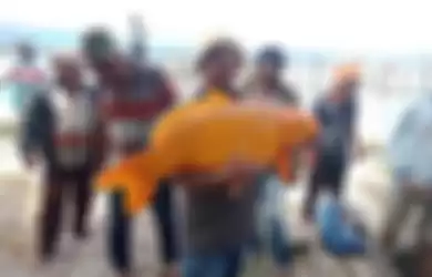 Viral pemancing tangkap ikan mas raksasa berbobot 15 kilogram di Danau Toba