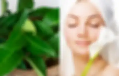 Serius! Cuman Modal Daun Salam Saja Kulit Wajah Bisa Glowing, Begini Caranya