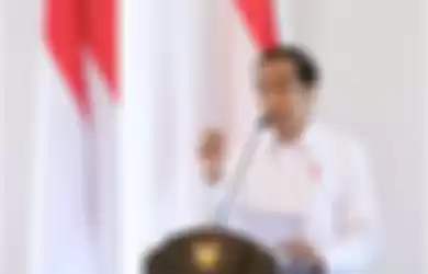 Presiden Republik Indonesia, Joko Widodo (Jokowi)