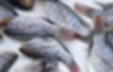 Perhatikan Menu Makanan Anda, Ikan-ikan Jenis Ini Harus Dihindari Jika Masih Ingin Sehat, Bisa Picu Munculnya Kanker Otak!