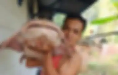 Sering Hadapi Risiko Diintai Ular Beracun, Inilah Pemburu Ikan Raksasa Generasi Terakhir di Sungai Batanghari Sumatera, Beratnya Sampai 30 Kg!