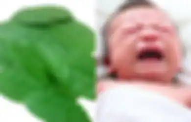 Gunakan Daun Salam untuk Meredakan Kolik Alami pada Bayi, Mau Coba?