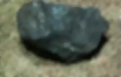 Ini merupakan meteor kondrit yang ditemukan.