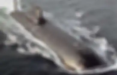 Sudah Hidup Sejak Zaman Uni Soviet, Monster Topan yang Awalnya Tinggal Puing Ini Kembali Jadi Kapal Selam Terkuat Rusia Saat Ini, Tengok Kelebihannya