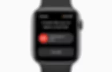 Apple Watch SE