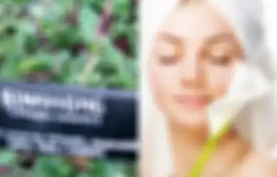 Mau Kulit Wajah Glowing dan Mulus Seperti Artis Korea, Coba Lakukan Perawatan Kulit Secara Alami dengan Daun Binahong, Dijamin Cantik Luar Dalam