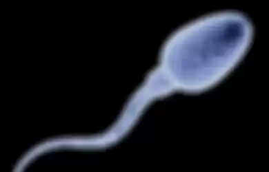 Ilustrasi Sel Sperma