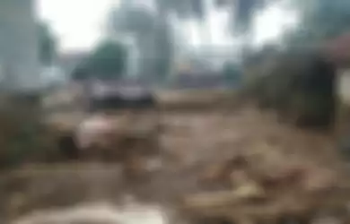 Gelondongan kayu berserakan di aliran Sungai Cibuntu, Kampung Cibuntu, Desa Pasawahan, Cicurug, Sukabumi, Jawa Barat, Selasa (22/9/2020). Banjir bandang menerjang Cicurug, Sukabumi, Senin (21/9/2020) petang.