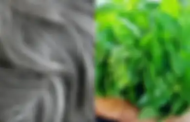 Tidak Hanya Sebagai Lalapan Saja, Nyatanya Gunakan Herbal Ini di Pagi Hari Bisa Basmi Uban, Begini Cara Pakainya, Mau Coba?