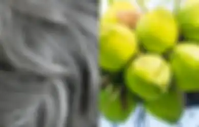 Bermasalah dengan  Uban, Hilangkan Saja dengan Bahan Alami, Cuma Harus Telaten Keramas dengan Racikan Bahan Ini