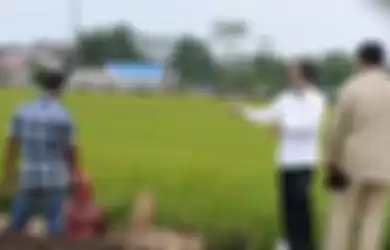 Presiden Joko Widodo (kedua kanan) didampingi Menteri Pertahanan Prabowo Subianto (kanan) meninjau lahan yang akan dijadikan Food Estate atau lumbung pangan baru di Pulang Pisau, Kalimantan Tengah, Kamis (9/7/2020). Pemerintah menyiapkan lumbung pangan nasional untuk mengantisipasi krisis pangan dun