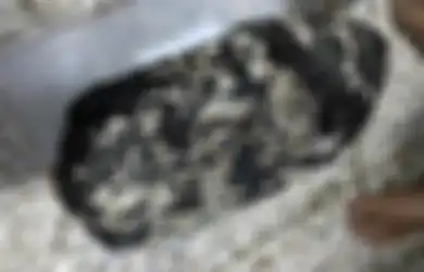 Ditemukan Dengan Cara Tak Terduga Batu Burik Berwarna Hitam Ini Ternyata Berharga Rp3 Miliar, Ilmuwan Menyebutnya Emas Mengambang, Ini Kelebihannya!