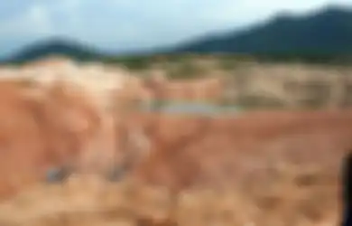 Tersembunyi di Pedalaman Kalimantan, Inilah Rare Eart Harta Karun Indonesia Disinggung Luhut Bakal Jadi Incaran Dunia