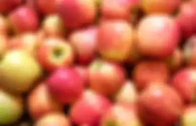 Buah apel punya segudang manfaat. Tapi, sudah tahukan kamu beberapa fakta soal buah apel, termasuk ada bagiannya yang beracun?