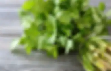 Ini Cara Mudah Bedakan Daun Ketumbar dengan Seledri dan Peterseli Walau Mirip-mirip