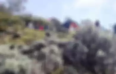 Heboh pendaki foto bugil di Gunung Gede.
