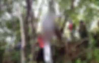 Evakuasi jenazah Bulewong (23) yang ditemukan tergantung di pohon  di Kecamatan Sungai Kunjang, Samarinda, Kalimantan Timur